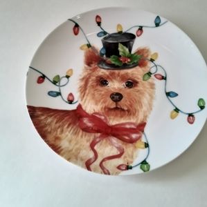 Plate Christmas lights on yorkie dog